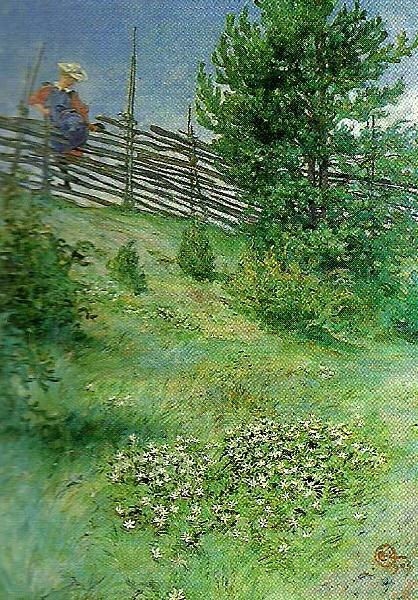 Carl Larsson flicka vid gardesgarden oil painting picture
